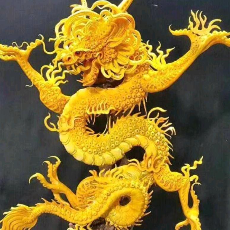 🔥东明龙武格斗🔥邢教练