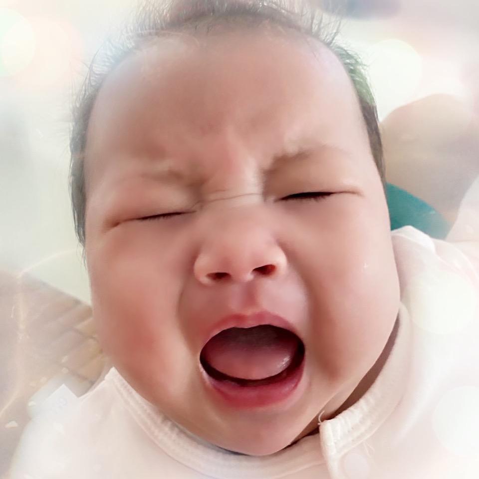 洛洛子