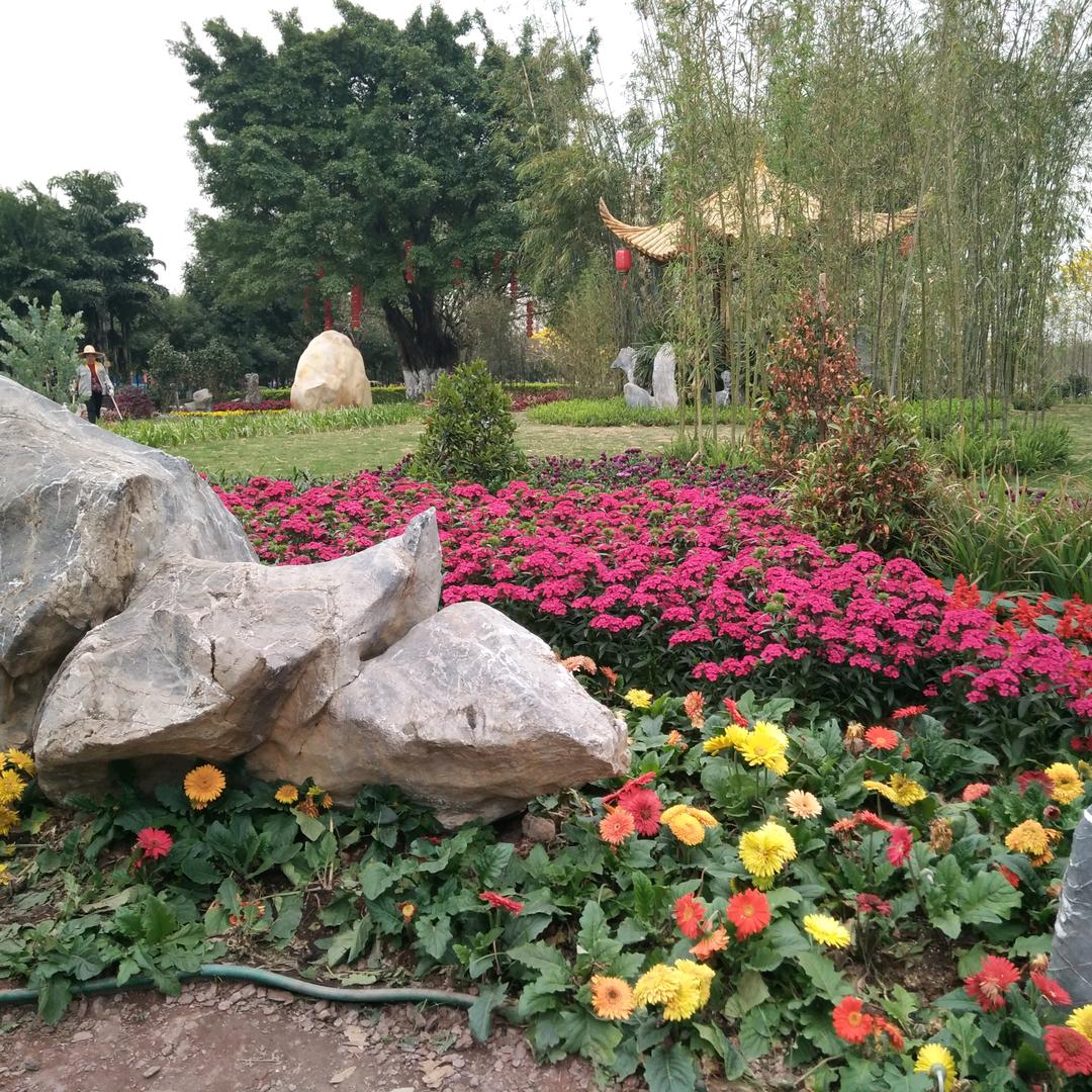 用户6145649461072枫叶🍁