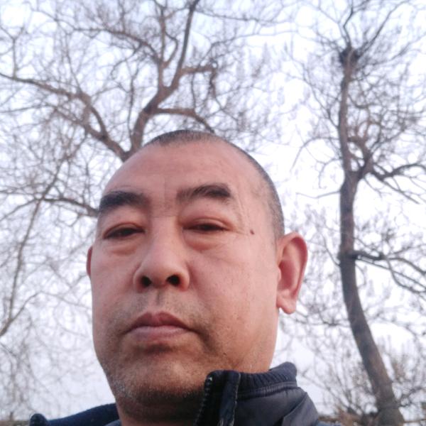 64的龙65的🐍花好月圆