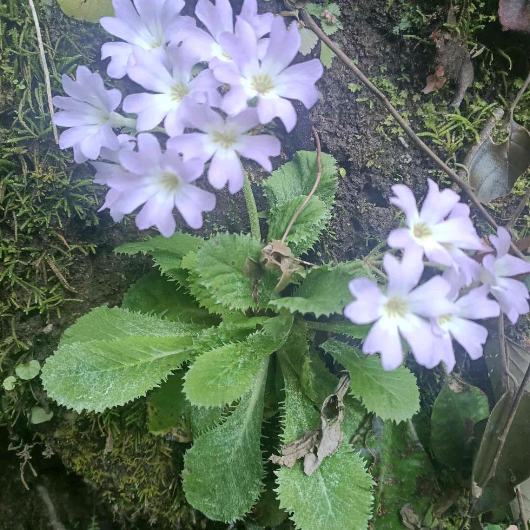 下雨了我会想你😘