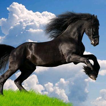 送人玫瑰，手留余香