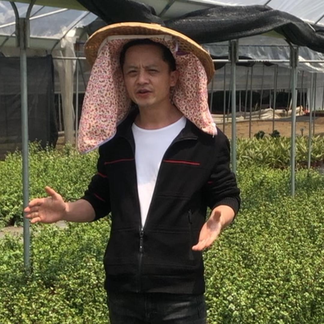 漳州市芗城区叶胜花店