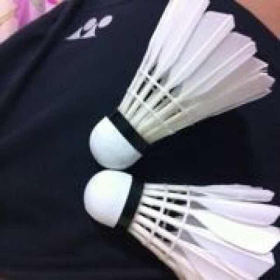 高高