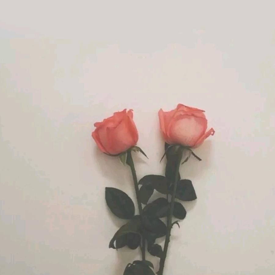 过完夏天过冬天~