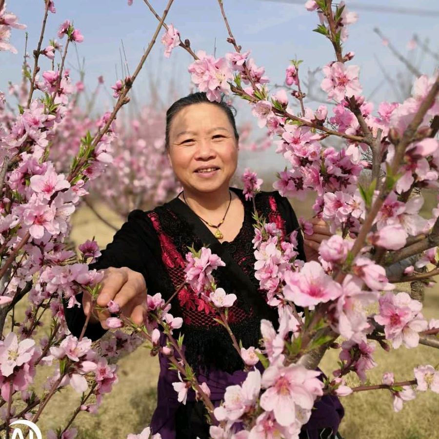 岑小瑛