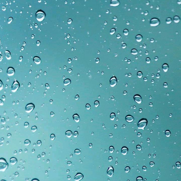 秀山周记土家酱香饼