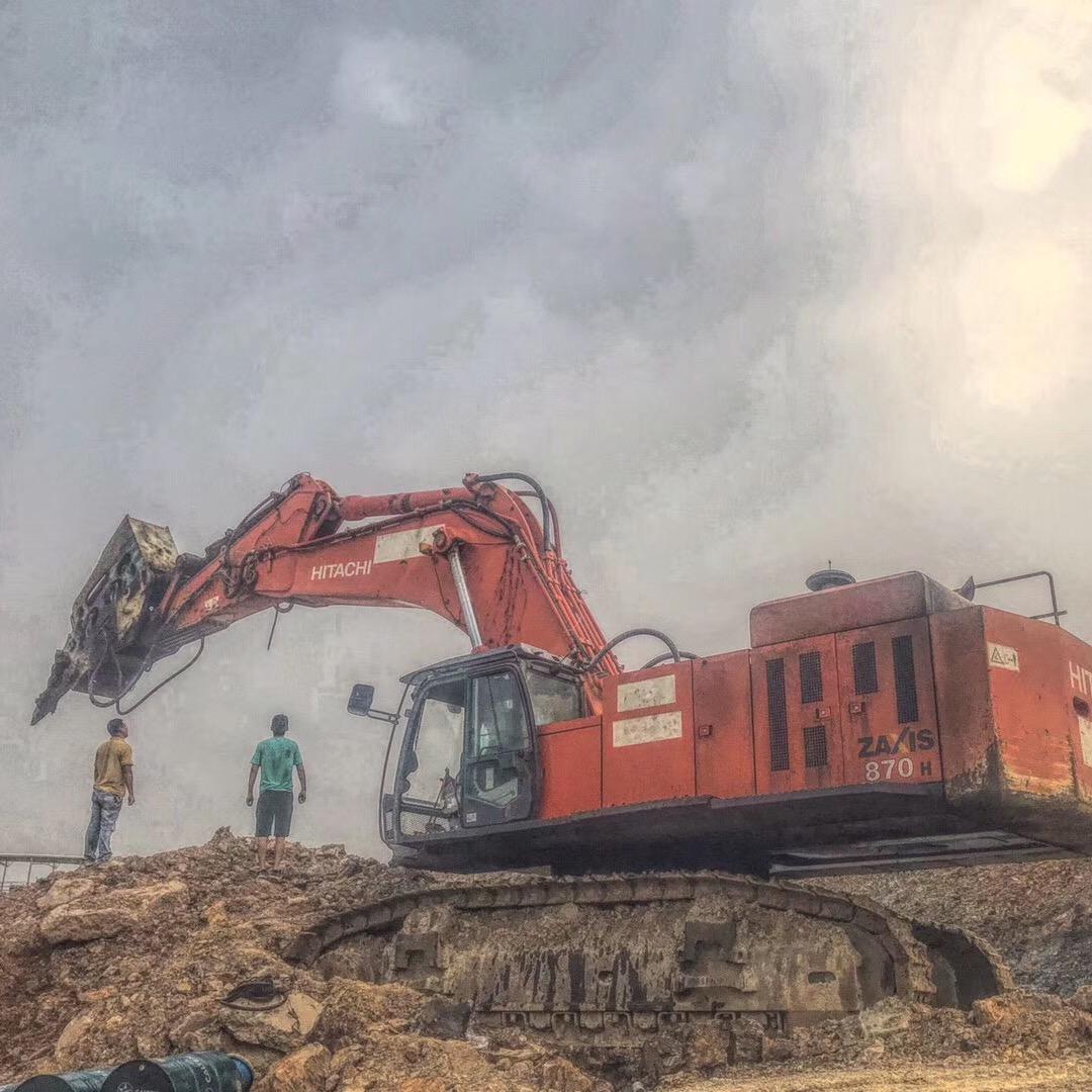 一只会蹦迪的鸭