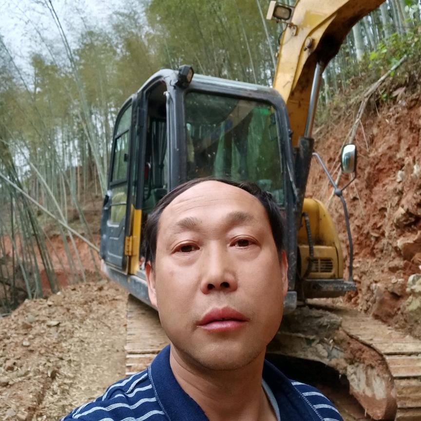 绍飞:天天带你走进大自然，看青山绿叶。