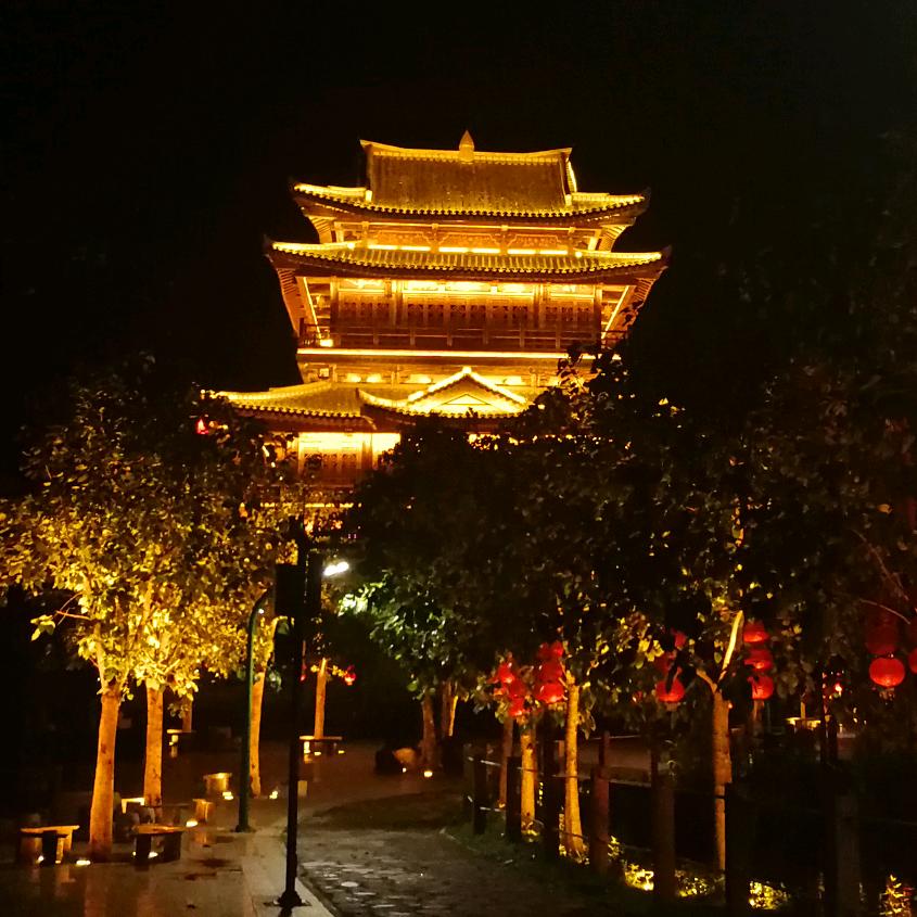 龙游四海