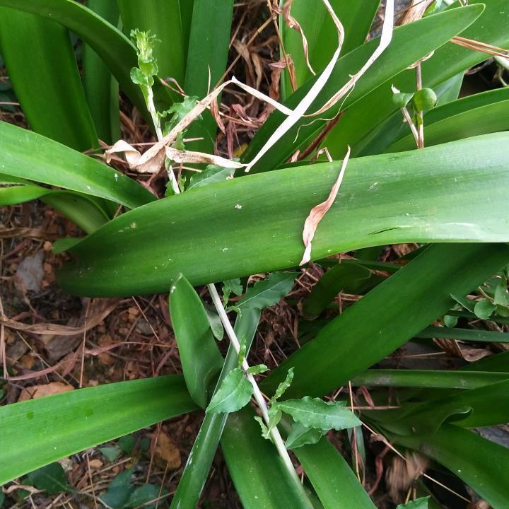 鹅g7g   1📫🎷💡⚽tqiih