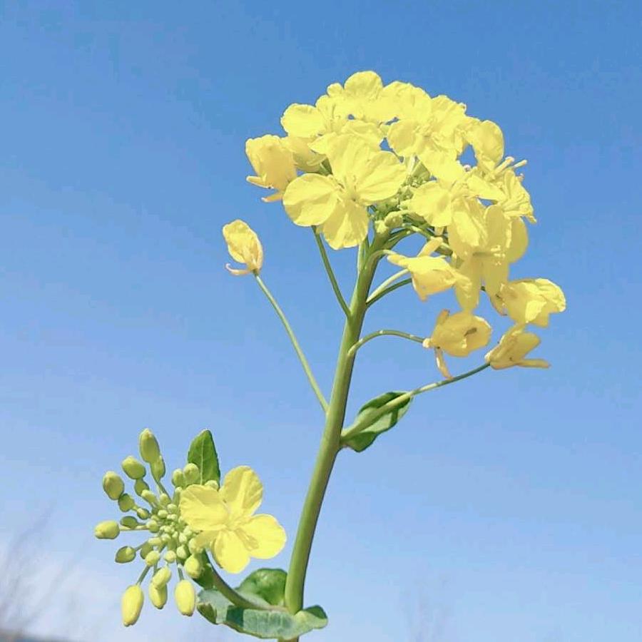珍惜