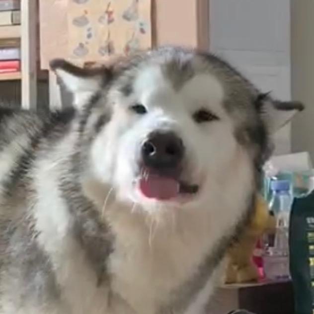 F班的庄直树（健康长寿版@抖音