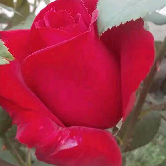 贵州💅💖💟💗人👪