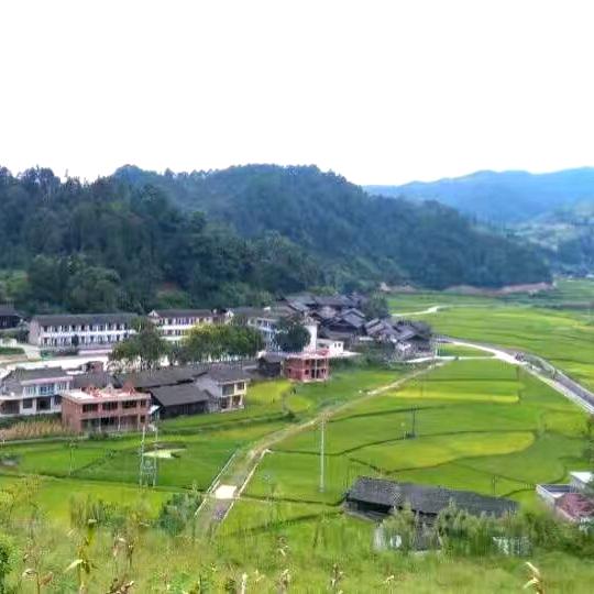 鲜丰良品