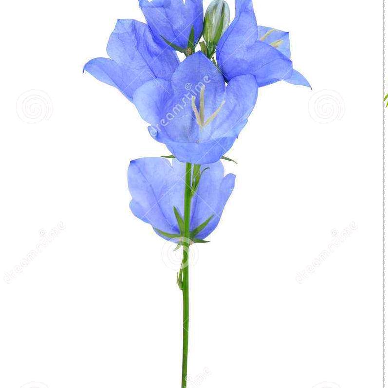 俺是农村人