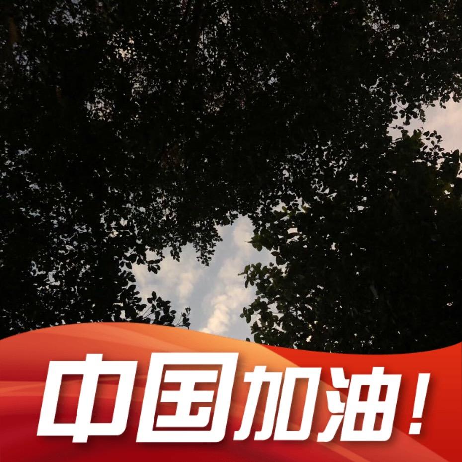 一只搬运工的日常❗️