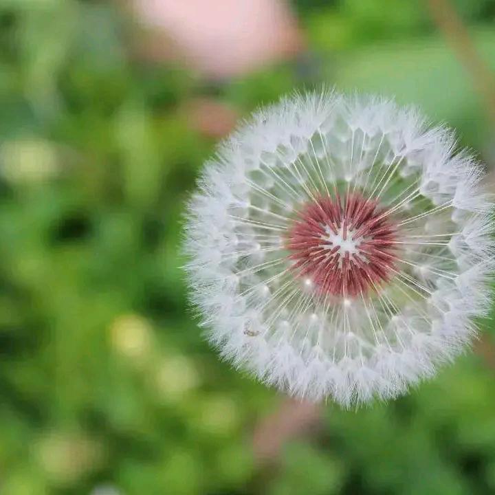 自然风光