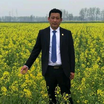 帅丰集成灶虞城店刘伟旗