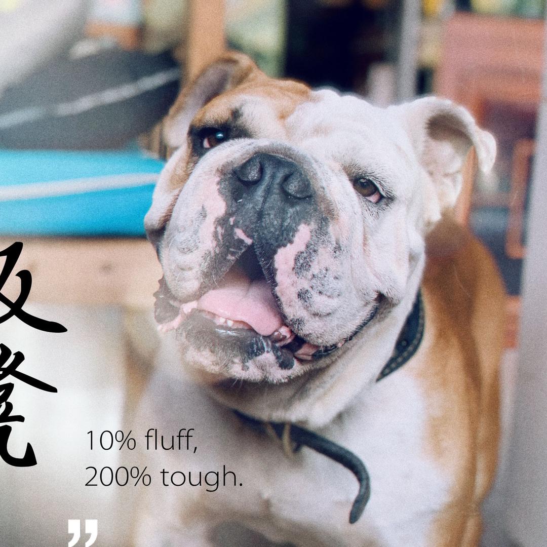 晞哥的动物园