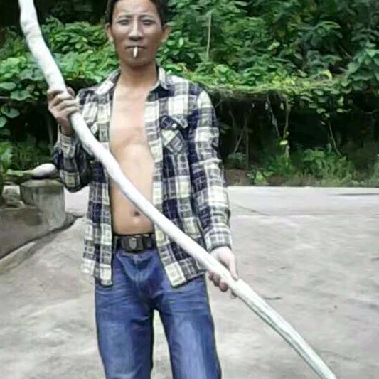 孤单农民