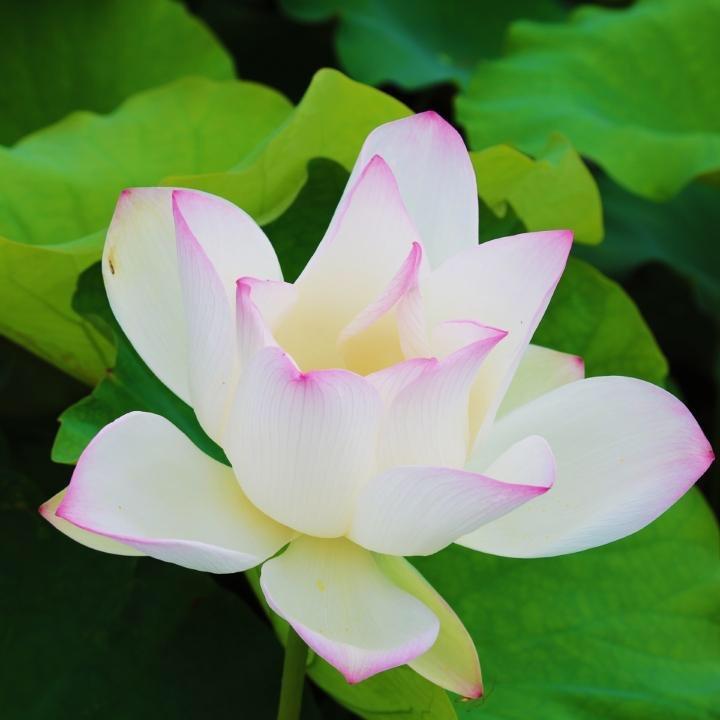 覃塘宣传