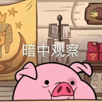 小马睿智🐴