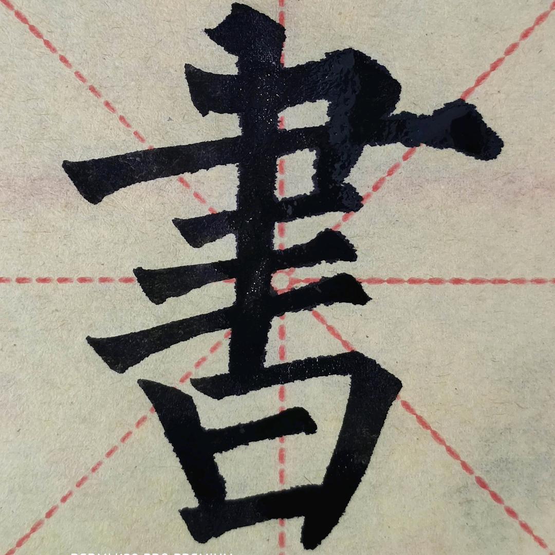专注于柳楷（酷念文化）