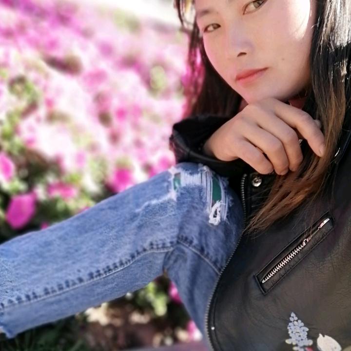 小菲