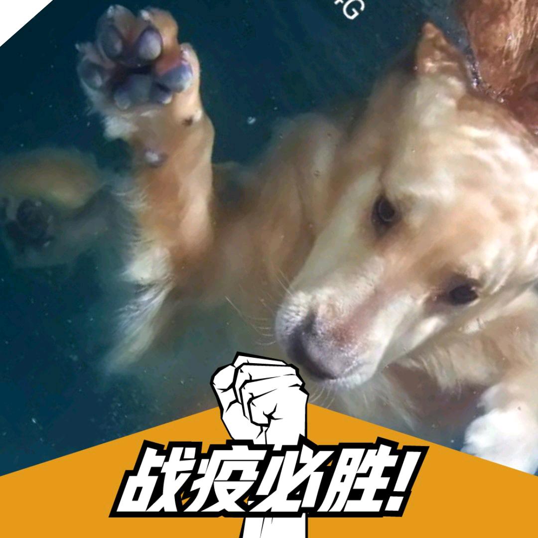 赛赛