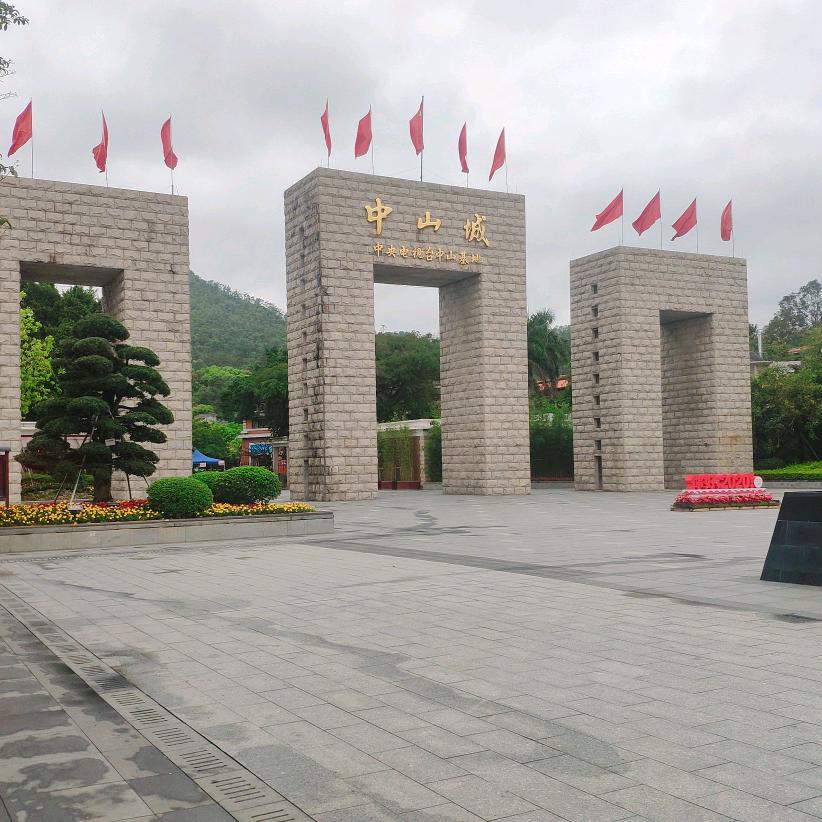 我会看抖音