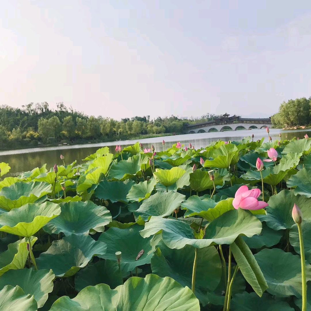 @昌黎鼓楼交电-张姐