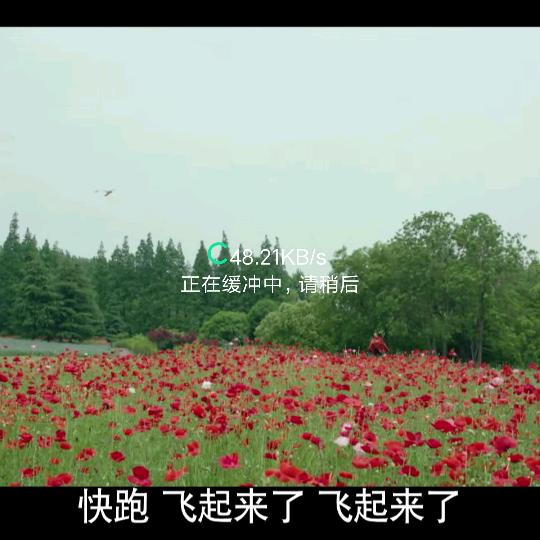 段家凉皮