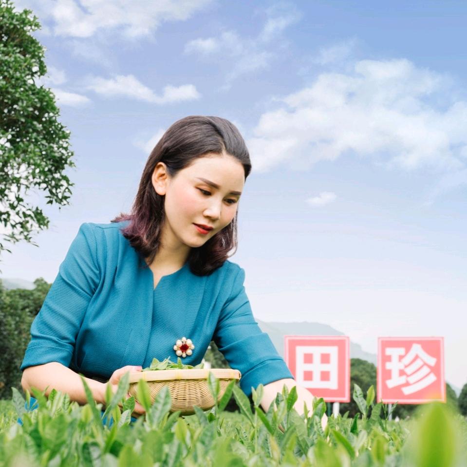 平利县田珍茶业有限责任公司