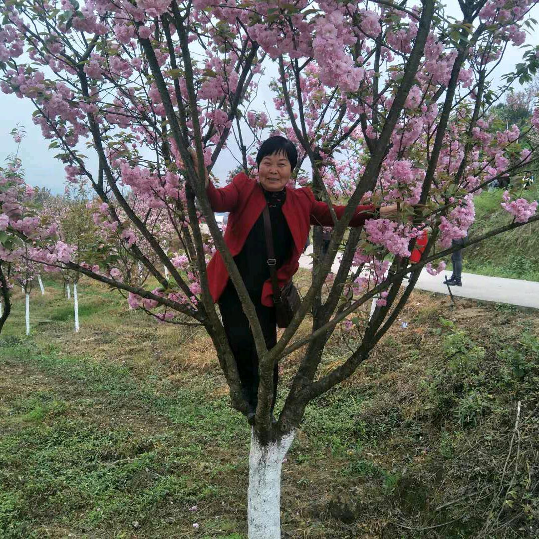 老玩童