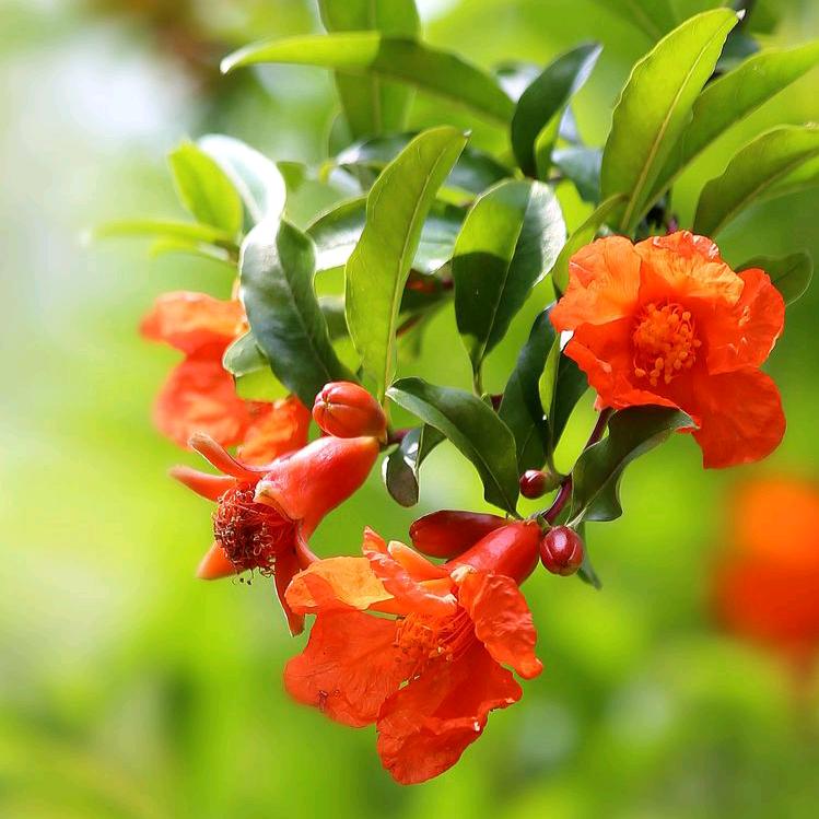 只愿你好🌻🌻