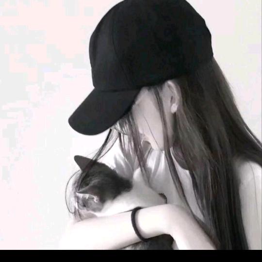 严家大小姐