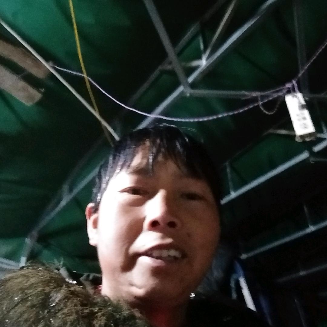 梦中之人