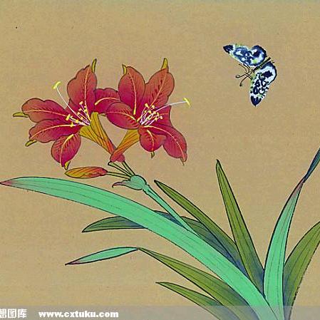 婉清