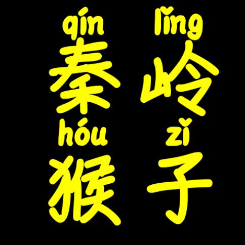 秦岭猴子