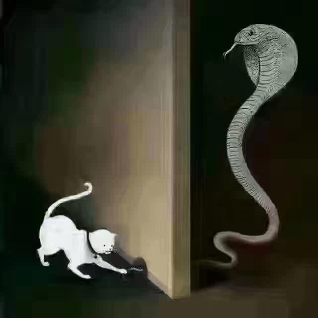 无所畏惧！