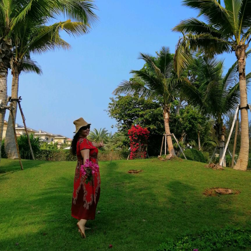 用户:莲华3545574764014