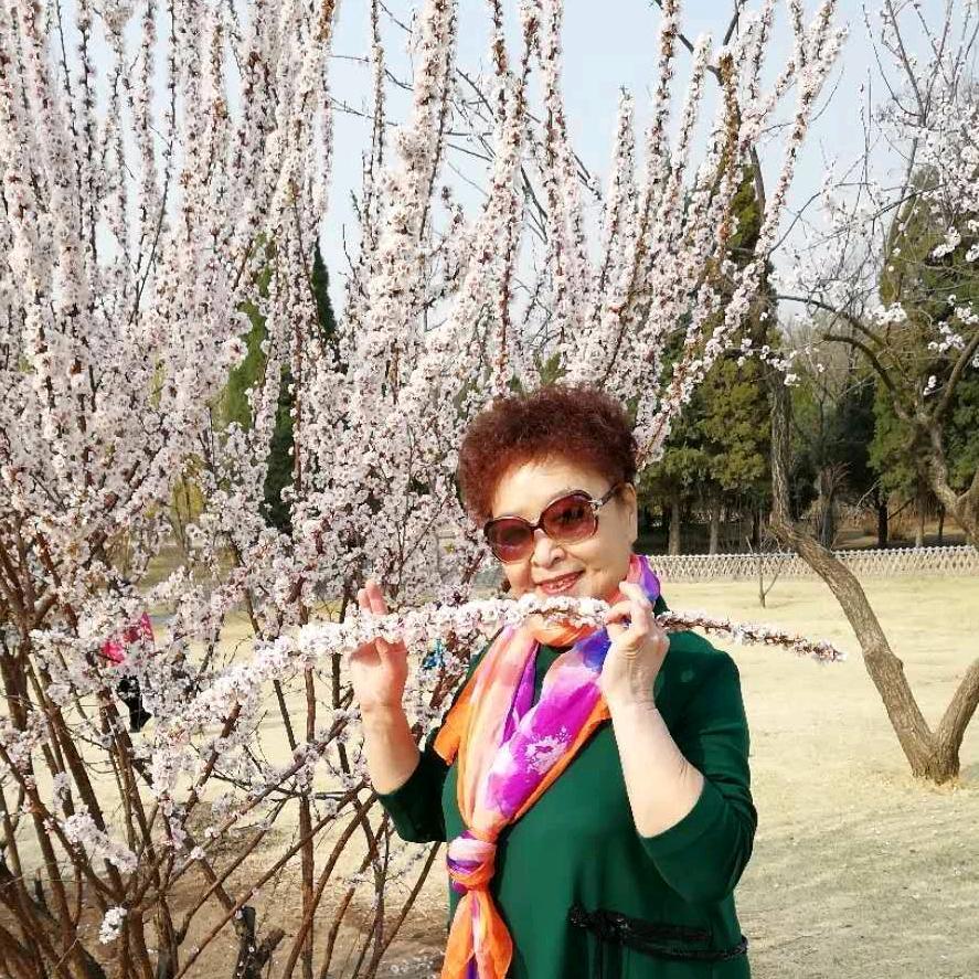 🌸舞动青春
