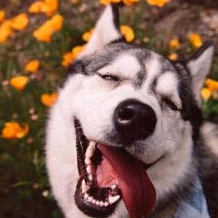 狠狠踢屁股警告