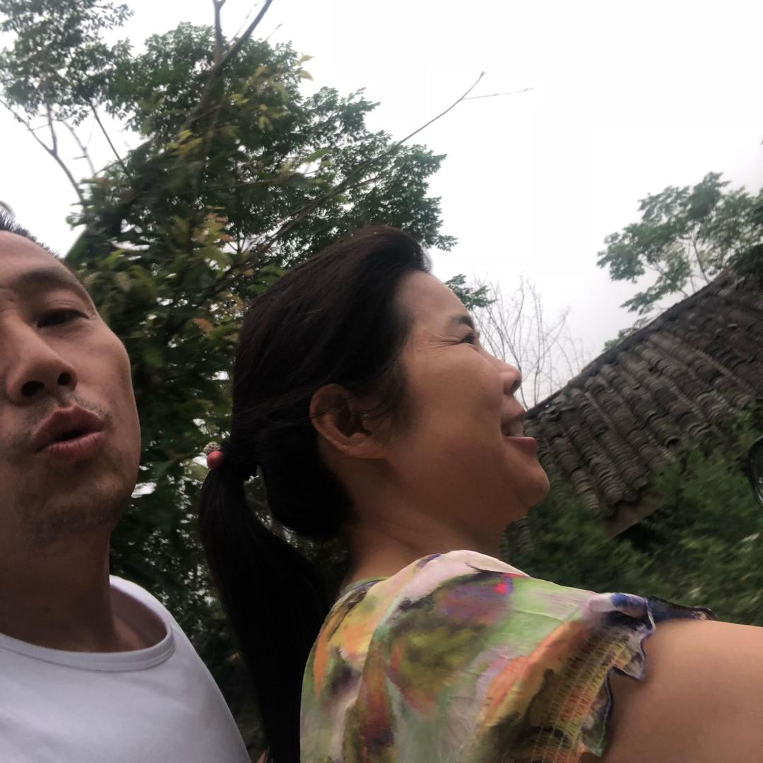 杨杨杨