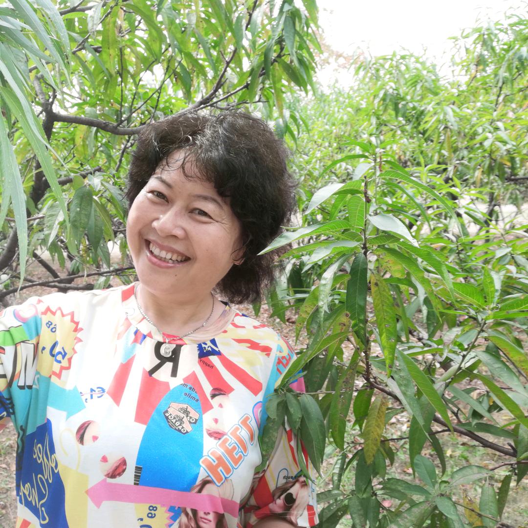杠后开花