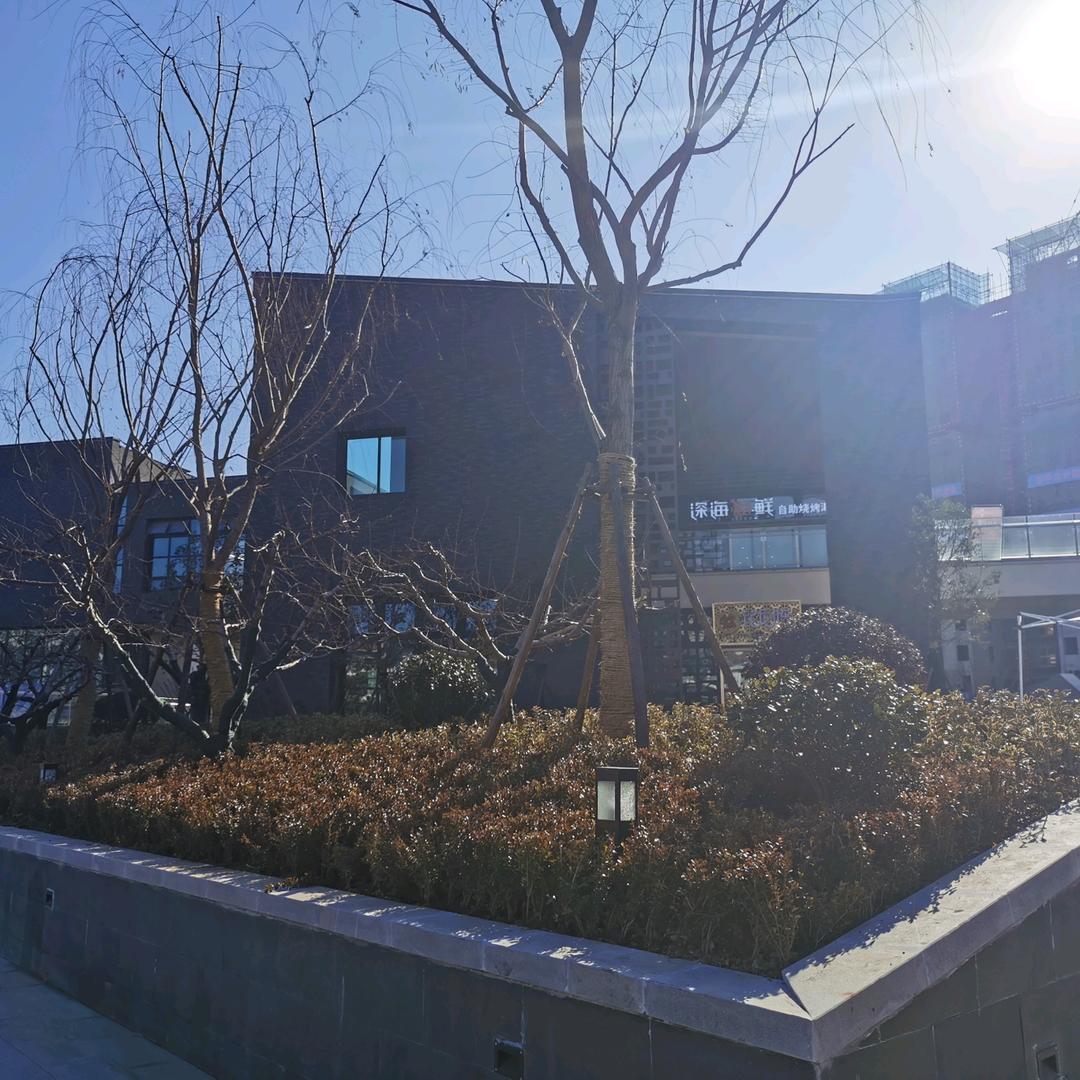 蝴蝶飞不过沧海