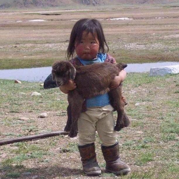 𝙍𝙞𝙘𝙖𝙧𝙙𝙤