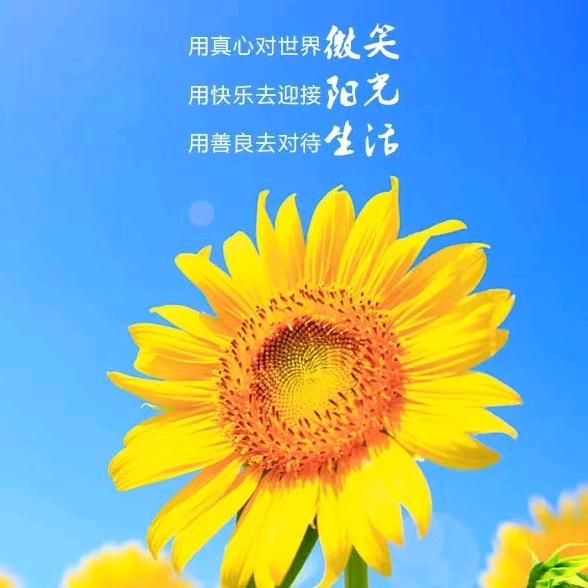 山间翠竹