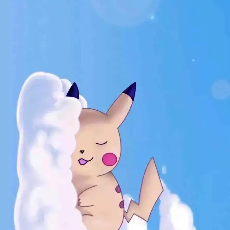 一只皮皮球